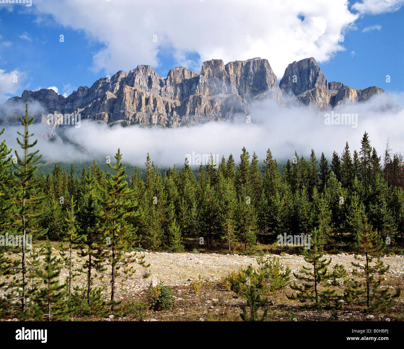 Castle Mountain, il Parco Nazionale di Banff, Alberta, Canada Foto Stock