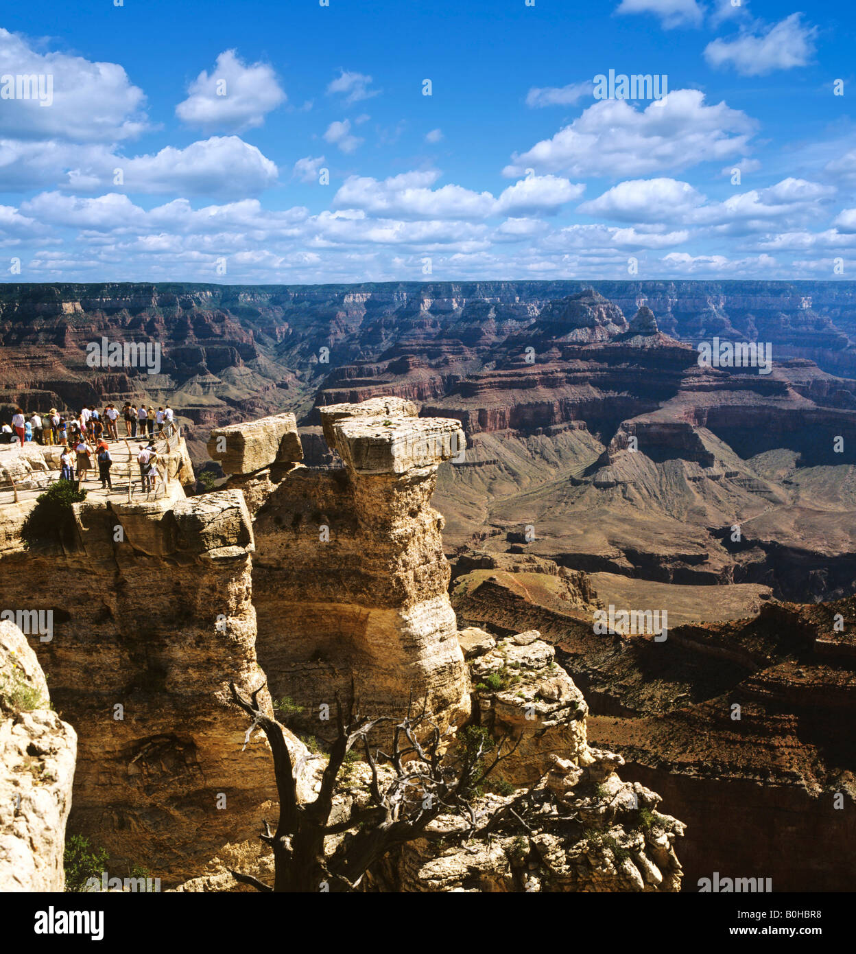 Il Grand Canyon, Lookout Point, Colorado Colorado Plateau, Arizona, Stati Uniti d'America Foto Stock