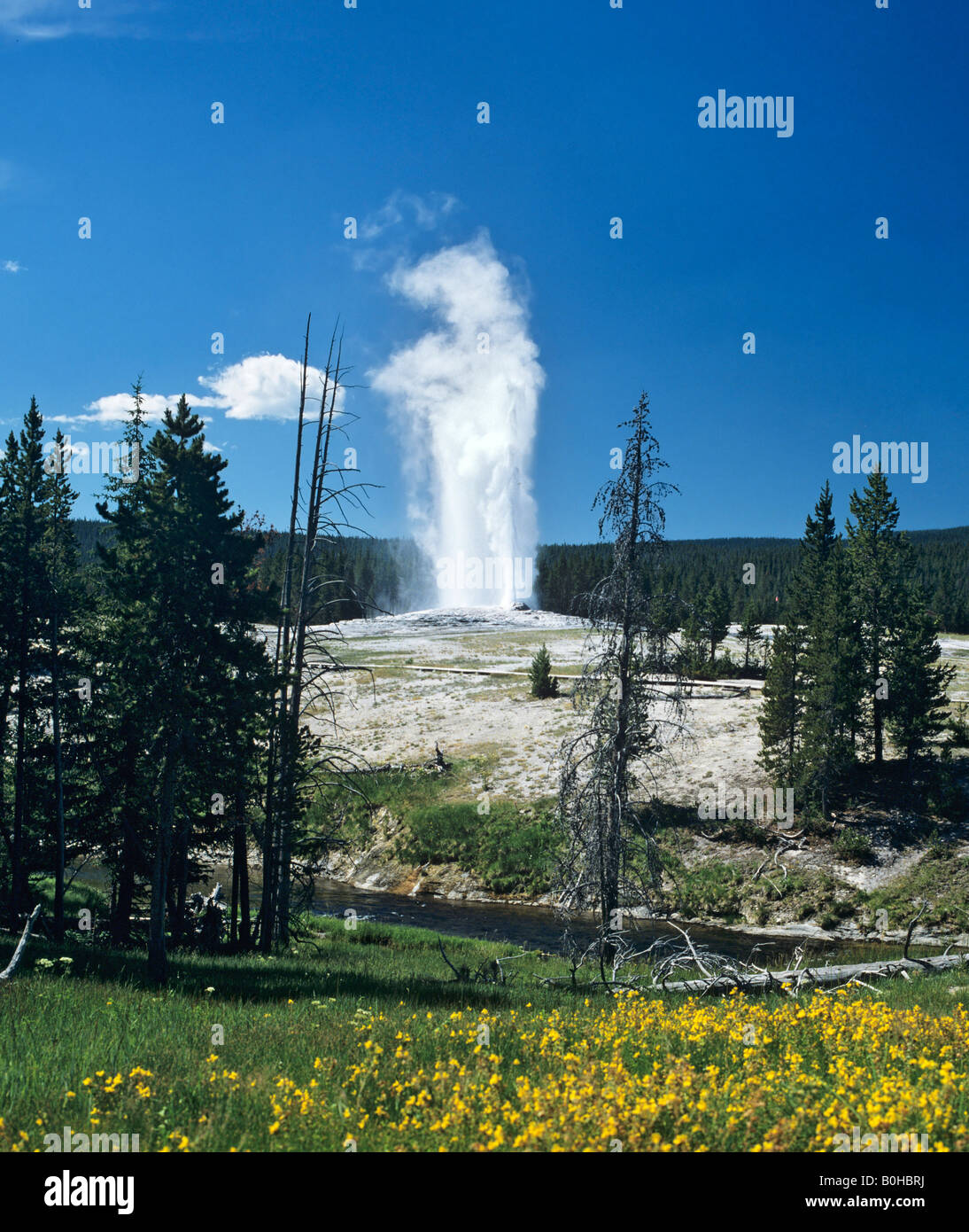 Geyser Old Faithful, il Parco Nazionale di Yellowstone, montagne rocciose, Wyoming USA Foto Stock