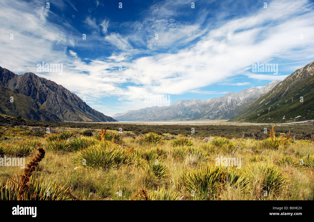 Tasman Glacier Valley, Isola del Sud, Nuova Zelanda Foto Stock