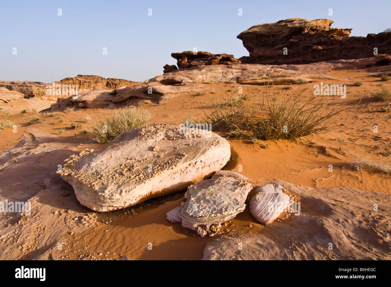 Le formazioni rocciose nel deserto, Wadi Rum, Giordania, Medio Oriente Foto Stock