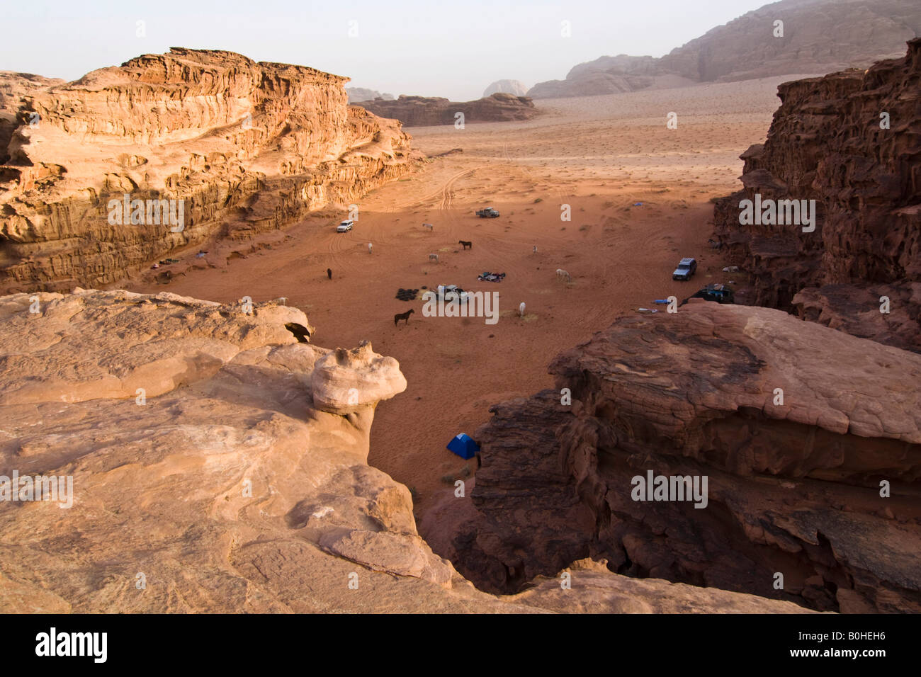 Il Camp con i cavalli nel deserto, Wadi Rum, Giordania, Medio Oriente Foto Stock