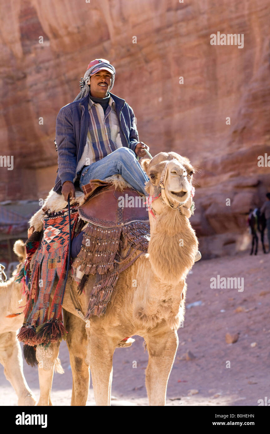 Uomo beduino a dorso di un cammello, Petra, Giordania, Medio Oriente Foto Stock