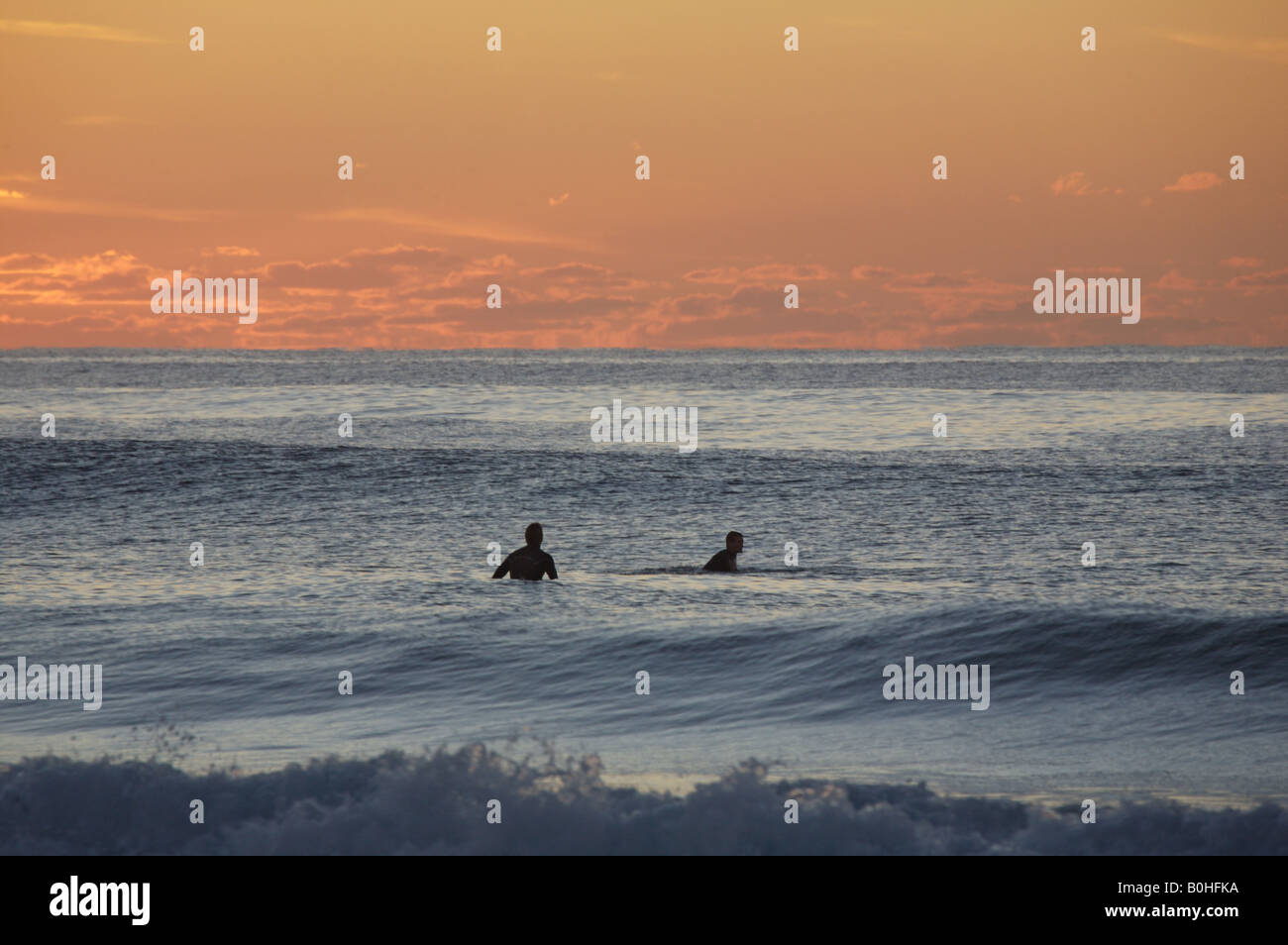 Surfers all'alba cercando per un'onda di Wollongong, NSW Australia Foto Stock