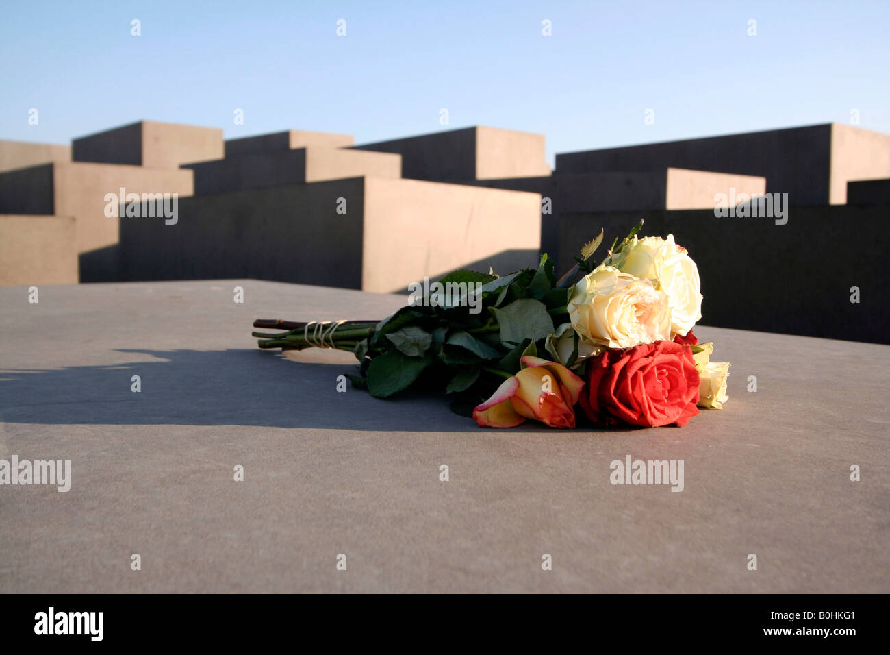 Mazzo di rose su uno dei blocchi di cemento il Memoriale dell'Olocausto a Berlino, Germania, Europa Foto Stock