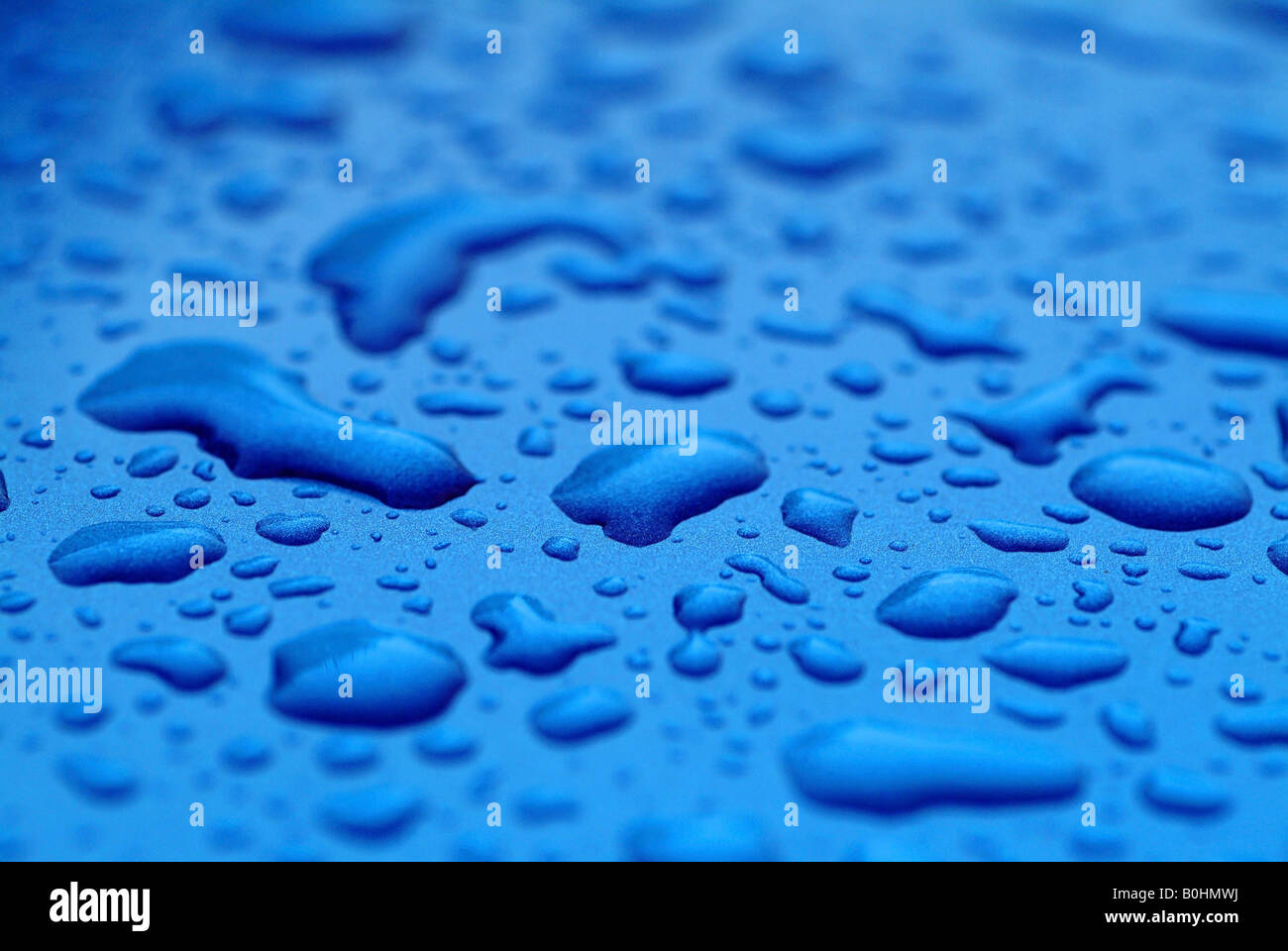 Gocce d'acqua, gocce d'acqua formate su una superficie di colore blu Foto Stock