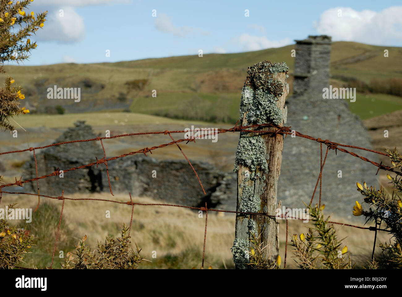 In rovina la costruzione di data mining con il lichen coperta in legno di quercia, fencepost Ceredigion, Galles Foto Stock