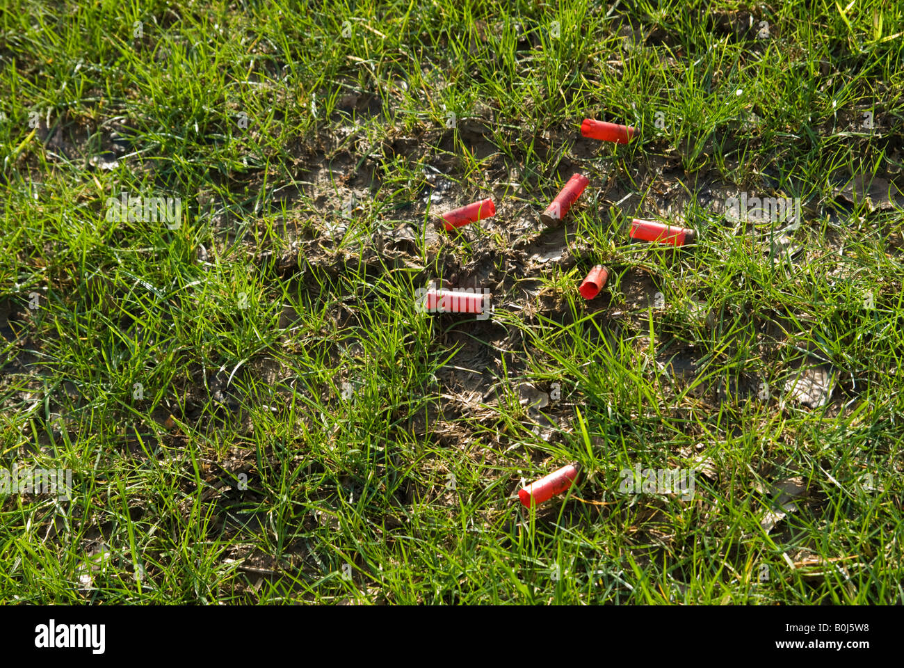 Cartucce di fucile usate scartate in un campo Shropshire Foto Stock