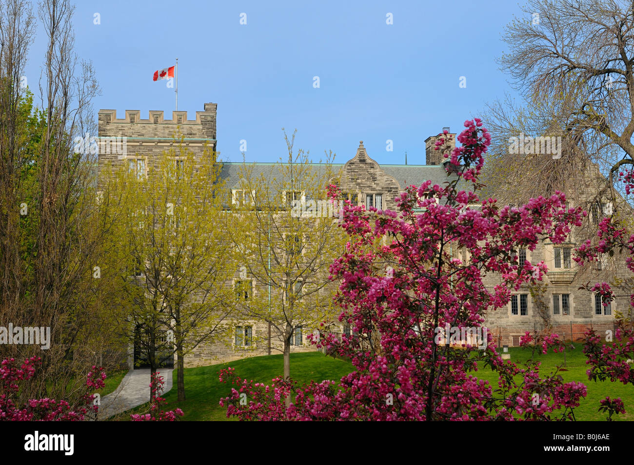 Vista della università di Trinity College Toronto attraverso gli alberi in erba e fiori di ciliegio in primavera Foto Stock