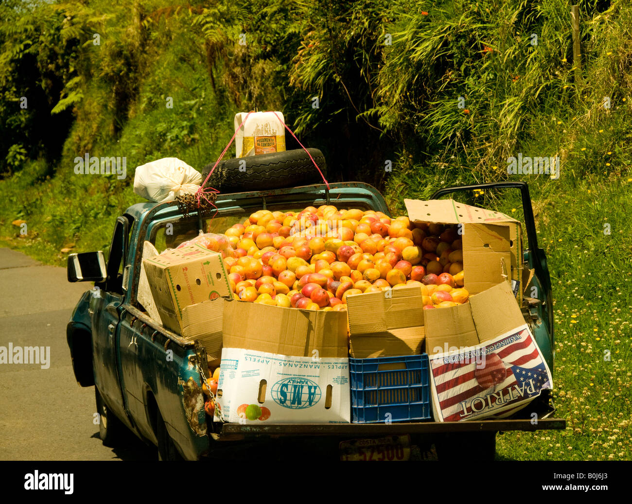 COSTA RICA Agricoltura camion carico di raccolto fresco Mango fuit voce al mercato vicino Vulcano Poas National Park Foto Stock