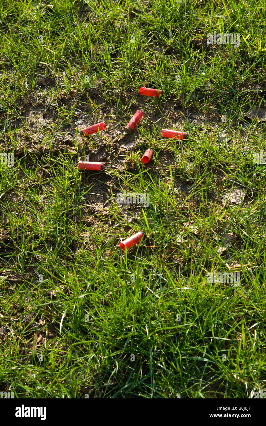 Cartucce di fucile usate scartate in un campo Shropshire Foto Stock