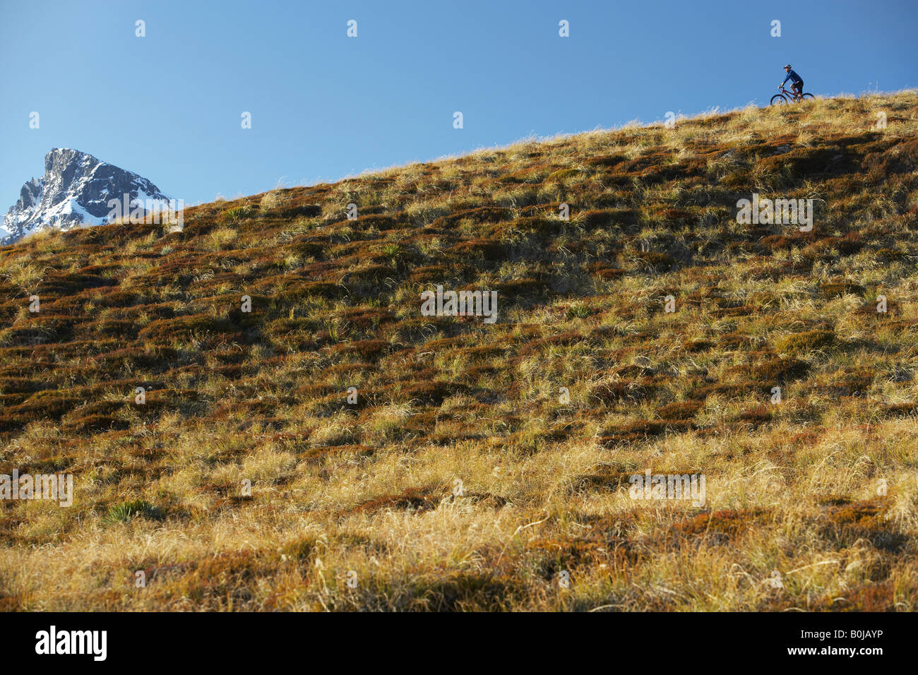 Ciclista equitazione sulla collina Foto Stock