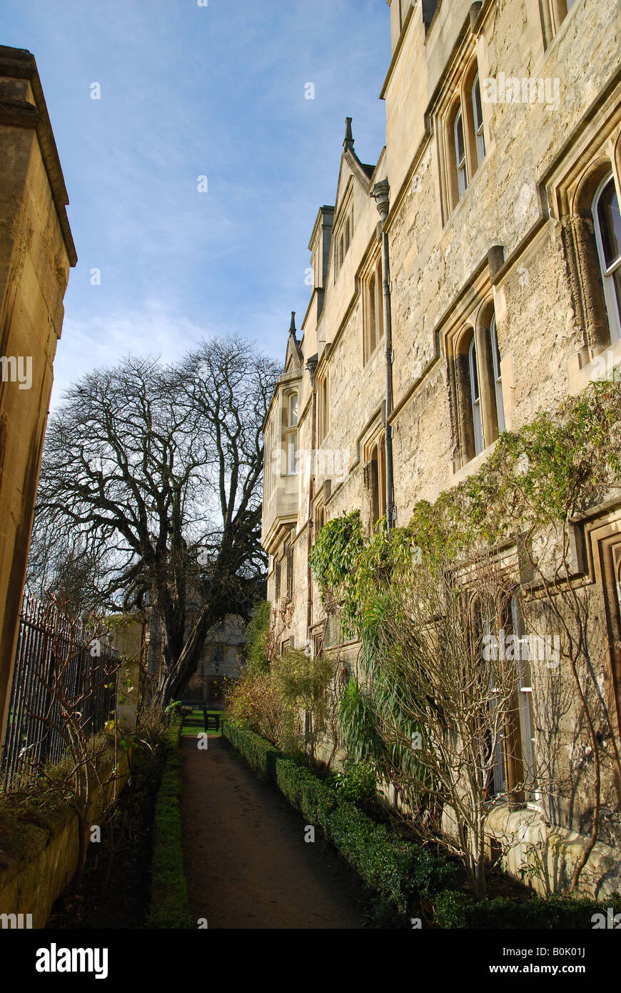 Merton College, facciata Foto Stock