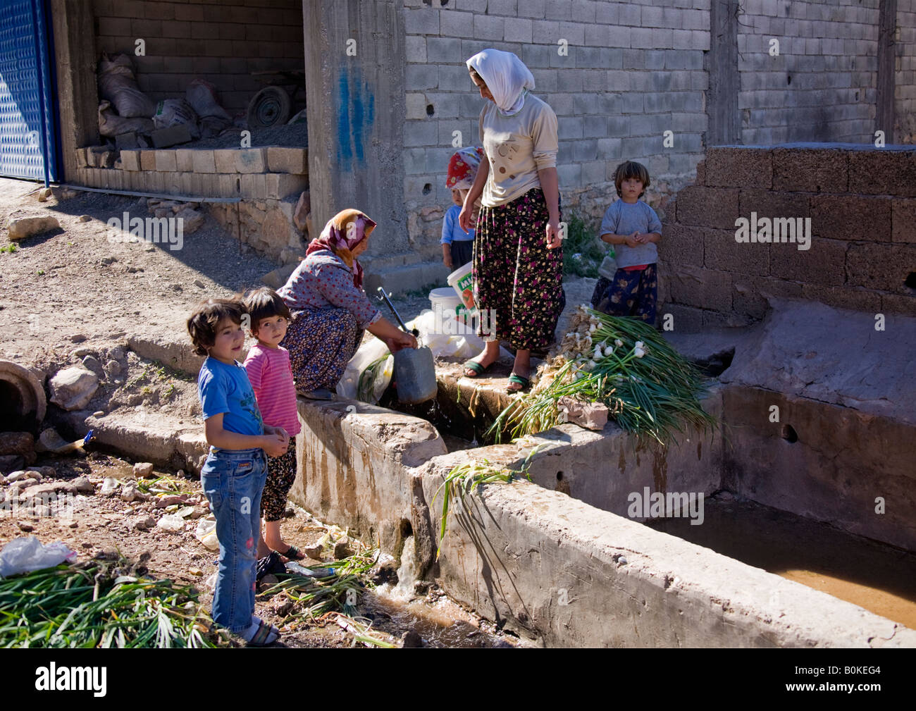 Le donne del villaggio di lavaggio bulbi di aglio in acqua locale di alimentazione. Foto Stock