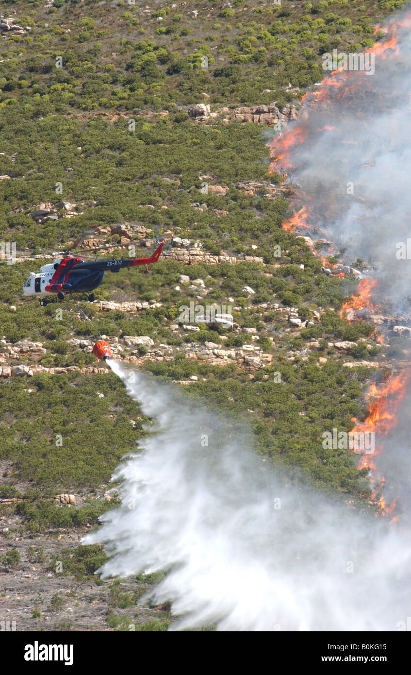 Incendi boschivi Capetown Foto Stock