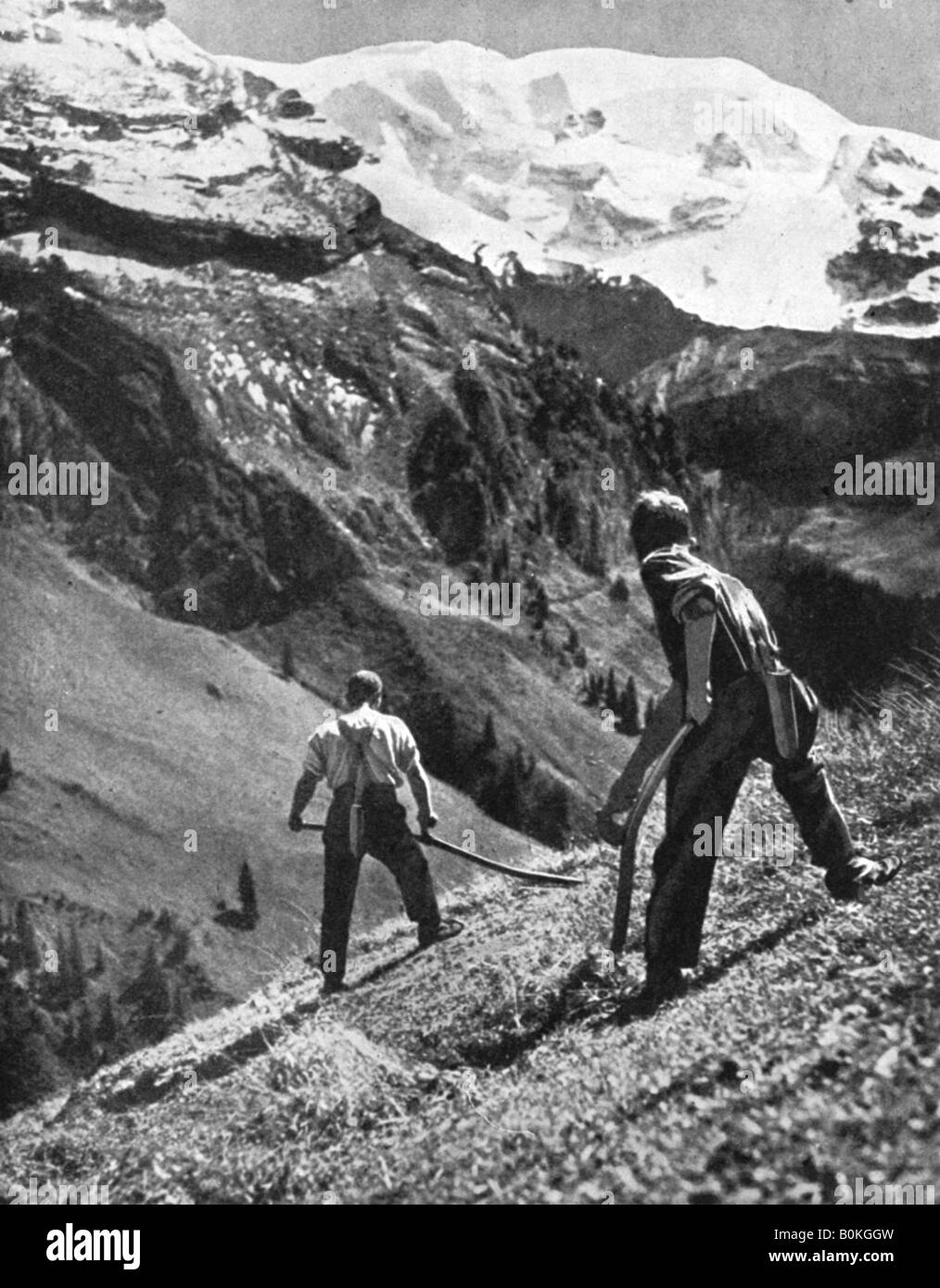 I contadini fienagione al piede del ghiacciaio, Svizzera. 1936.Artista: F Hutzli Foto Stock