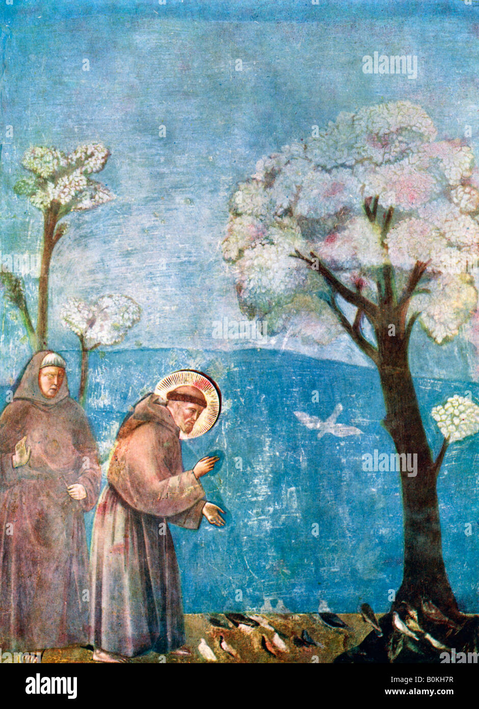 'St Francesco predica agli uccelli', 1297-1299, (c1900-1920). Artista: sconosciuto Foto Stock