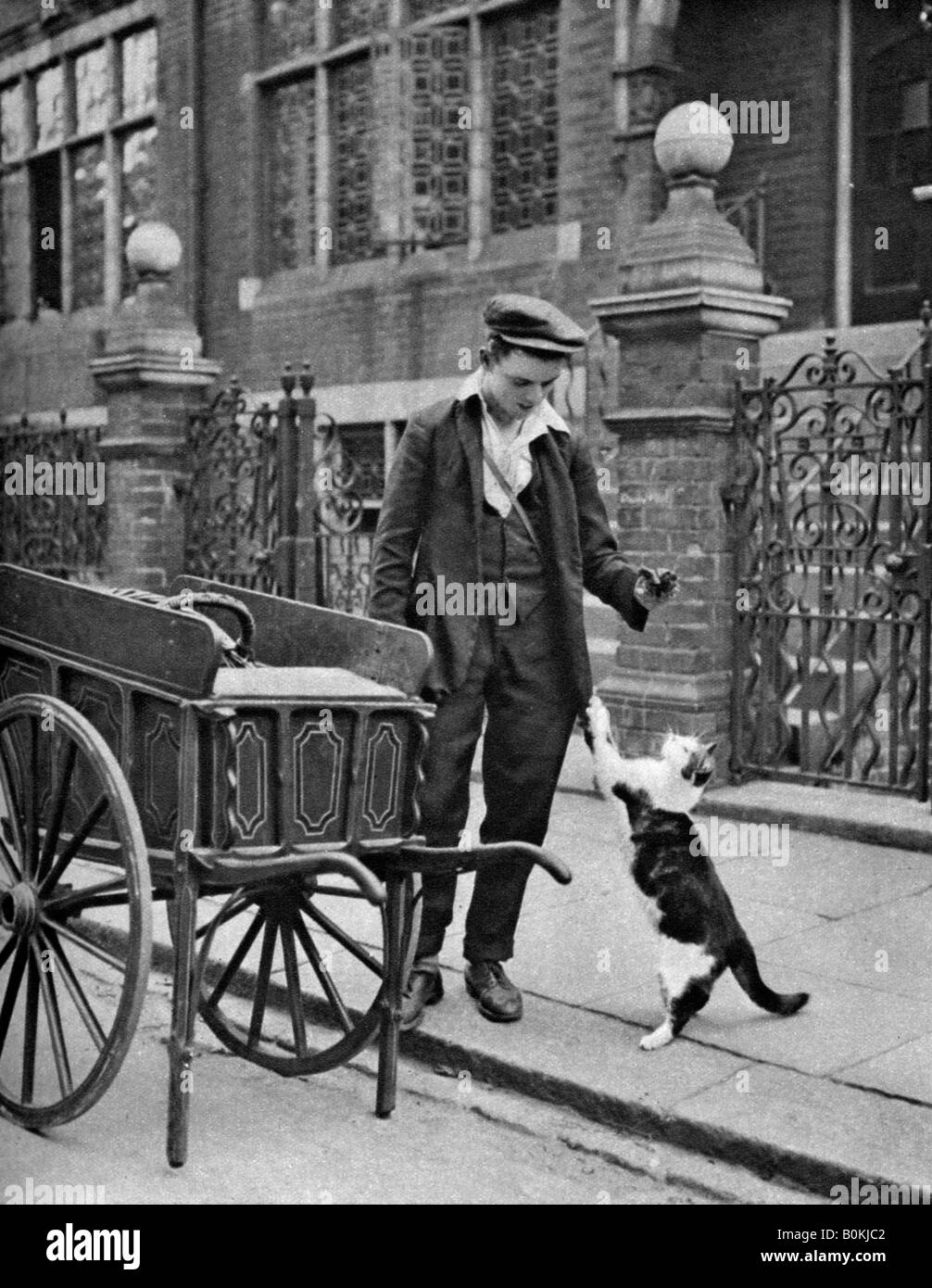 'Gatto della carne di uomo', Londra, 1926-1927. Artista: McLeish Foto Stock