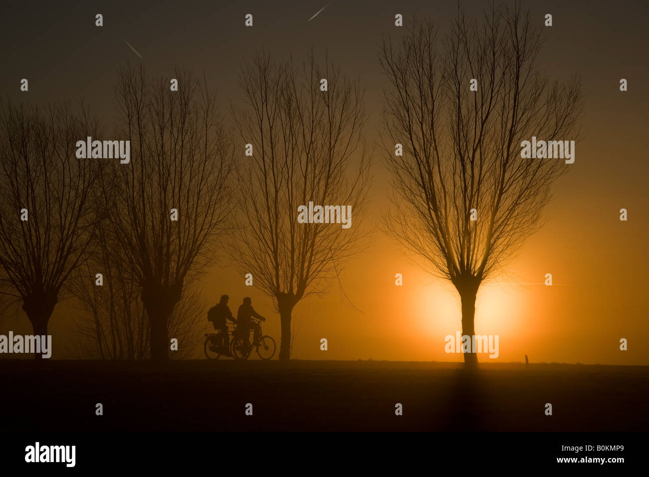 I ciclisti durante il sorgere del sole Foto Stock