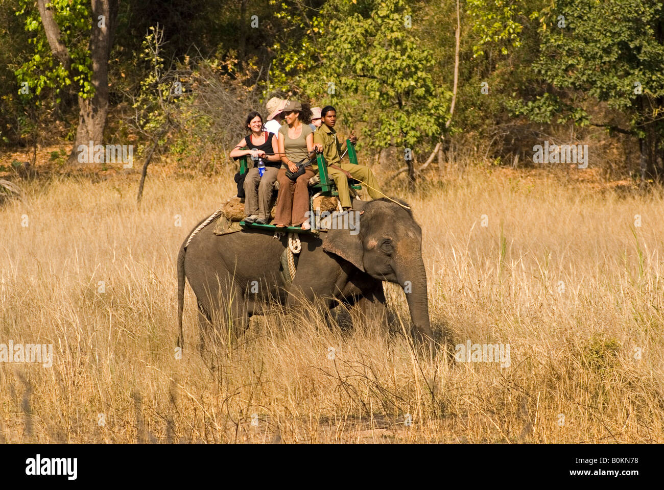 I turisti equitazione elefante in Bandhavgarh riserva della tigre Foto Stock