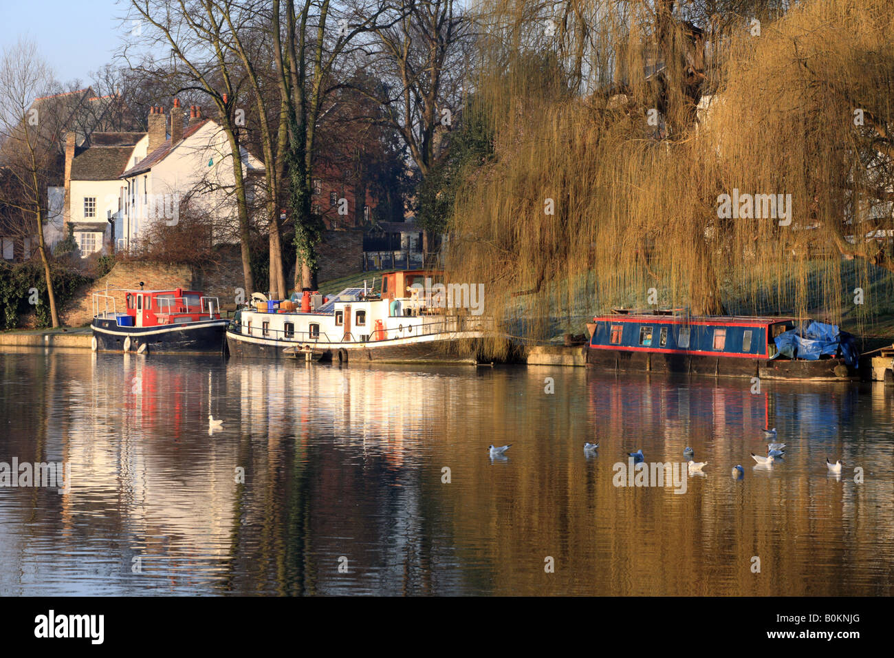 'Fiume Cam', Vicino al "Gesù Lock', Cambridge. Casa barche sul fiume. Foto Stock