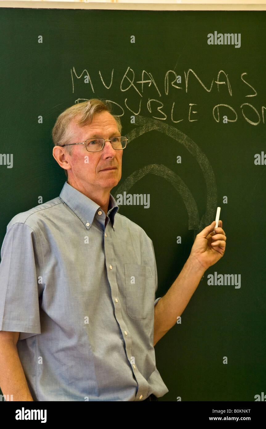 Professore universitario lezioni di fronte di Blackboard Foto Stock