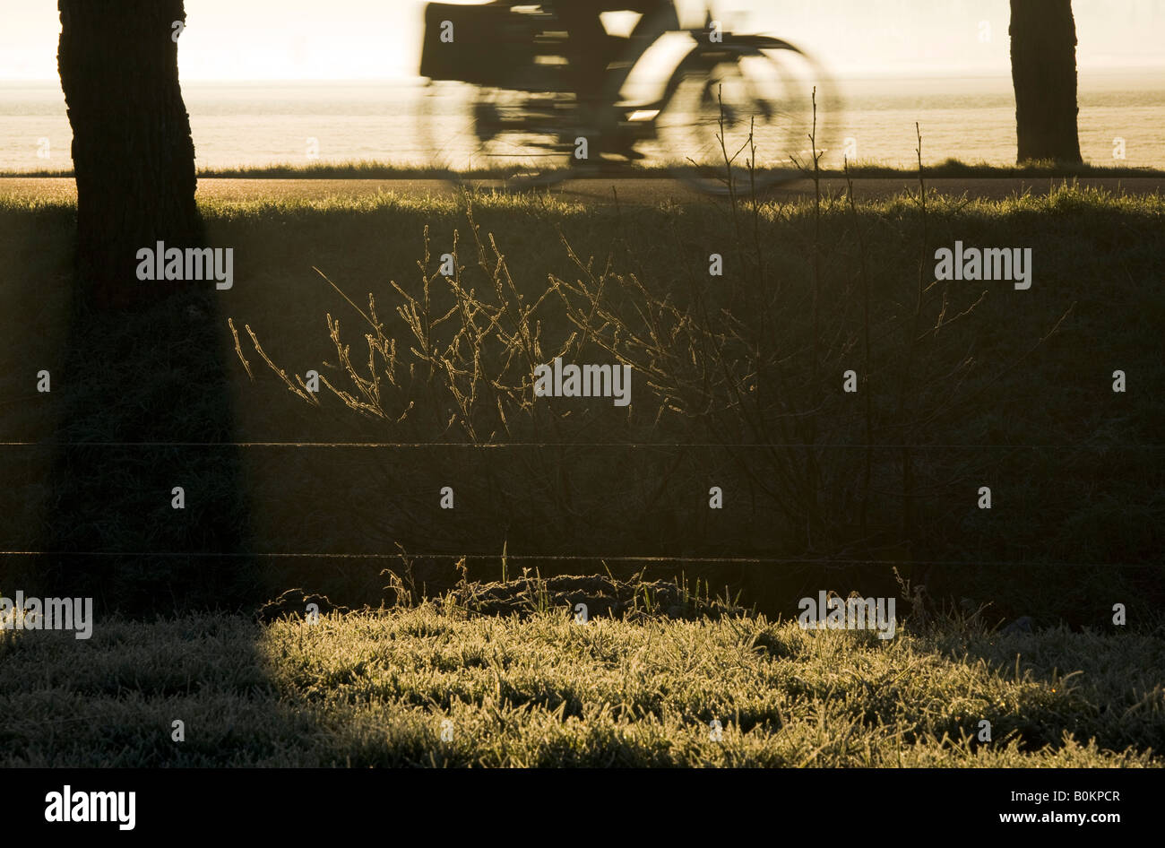 Rugiada di mattina di fronte alcuni terreni di erba con un fosso come separazione e due ciclisti andando al loro lavoro o qualcosa del genere Foto Stock