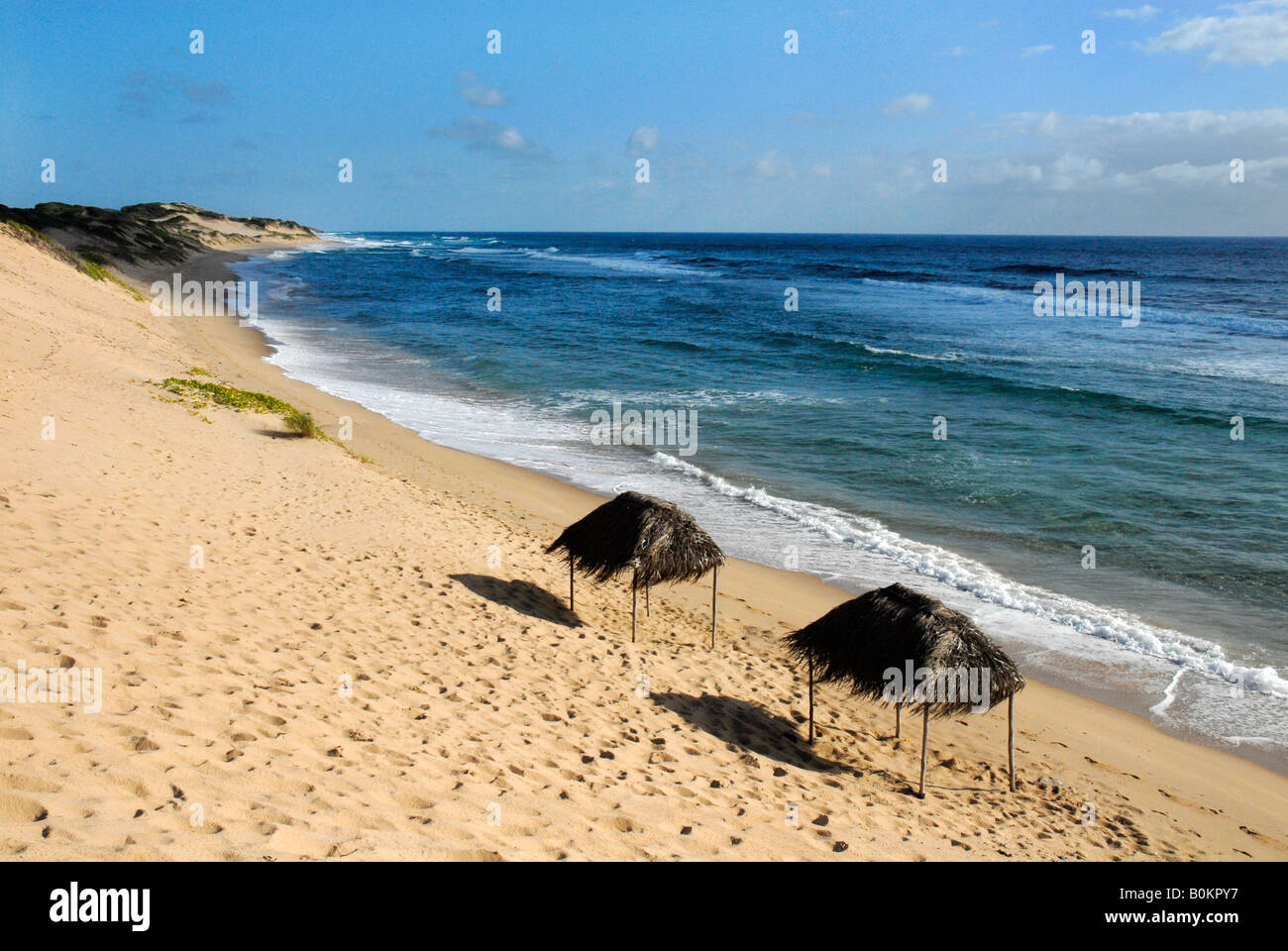 Una spiaggia di Tofo Foto Stock