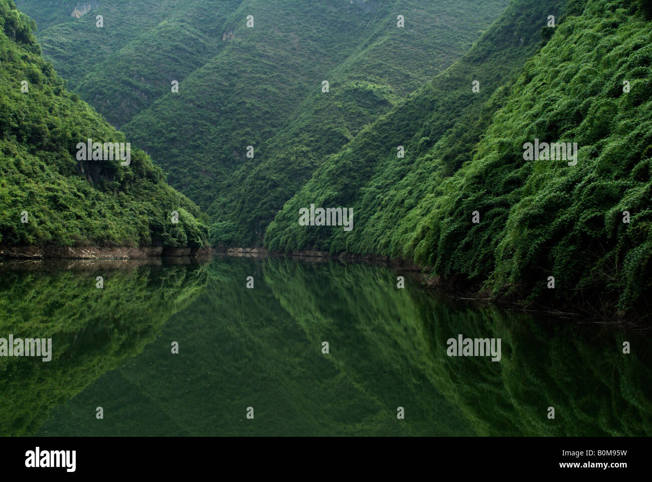 Torrente Shennong, Fiume Yangtze, Cina. Foto Stock