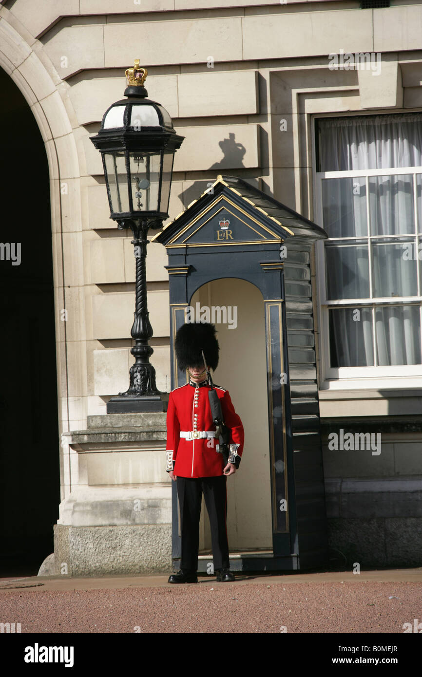 La città di Westminster, Inghilterra. Un soldato dell'HM Regina della famiglia Division della Guardia a Buckingham Palace. Foto Stock