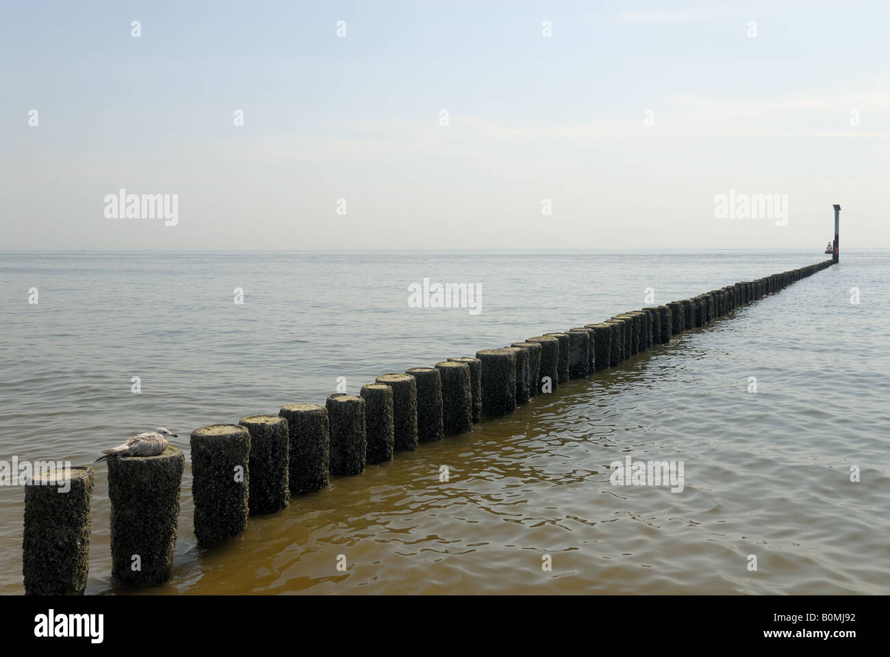 Struttura di frangionde nel Mare del Nord nei Paesi Bassi Foto Stock