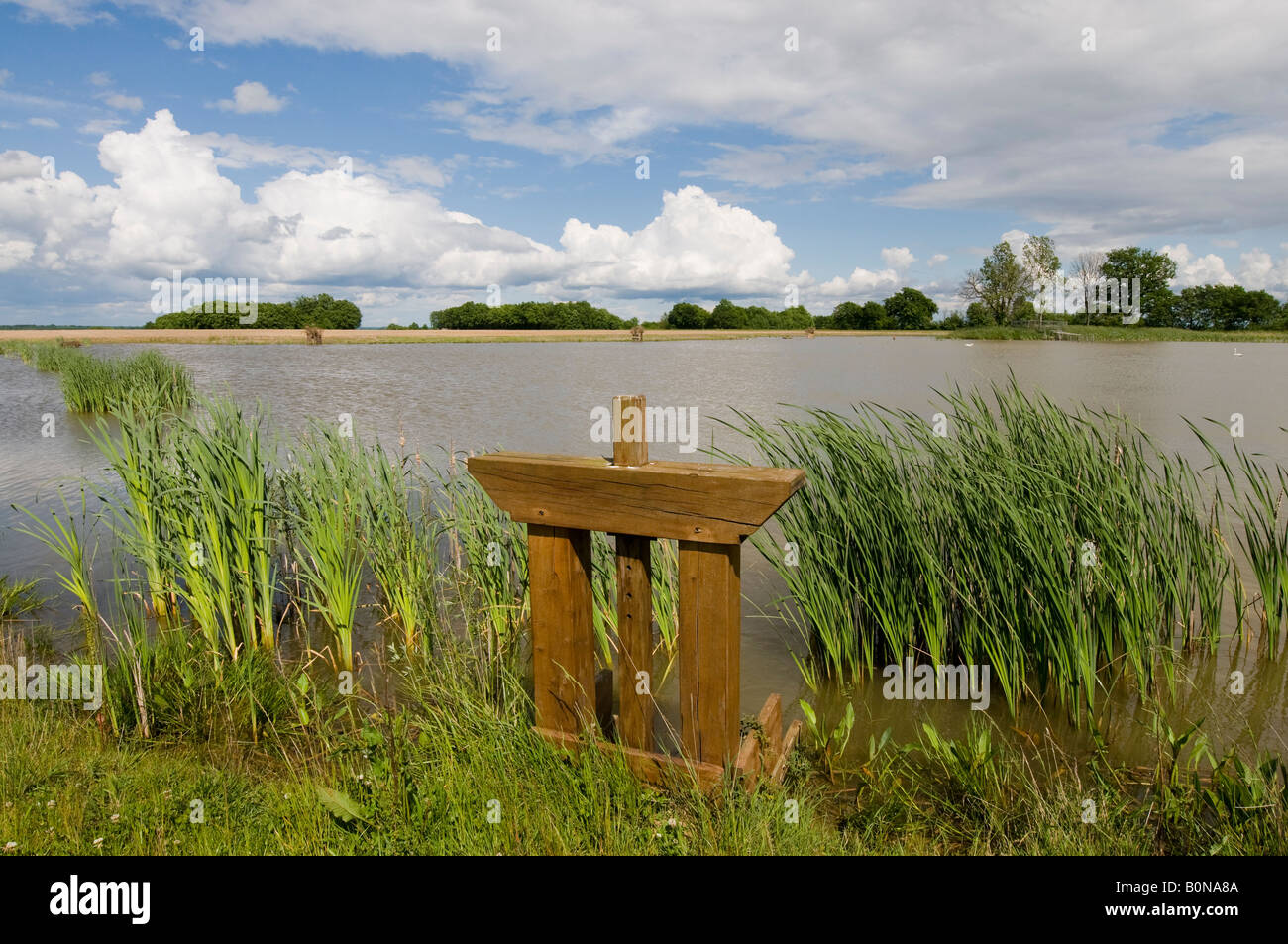 Lago di pesca e saracinesca, Indre, Francia. Foto Stock