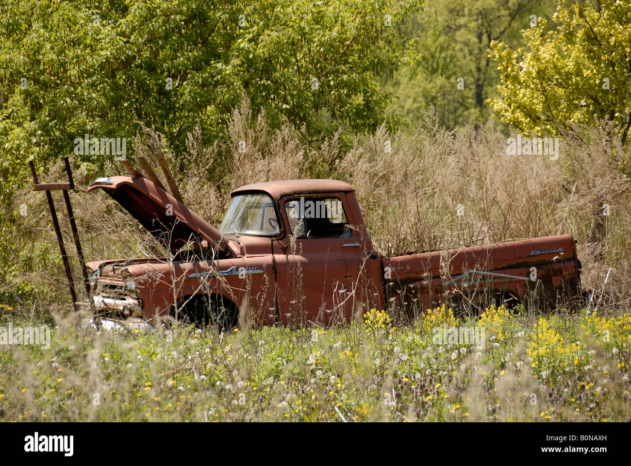 1958 Chevrolet Apache 31 classic pickup truck arrugginimento lontano in un campo. Foto Stock