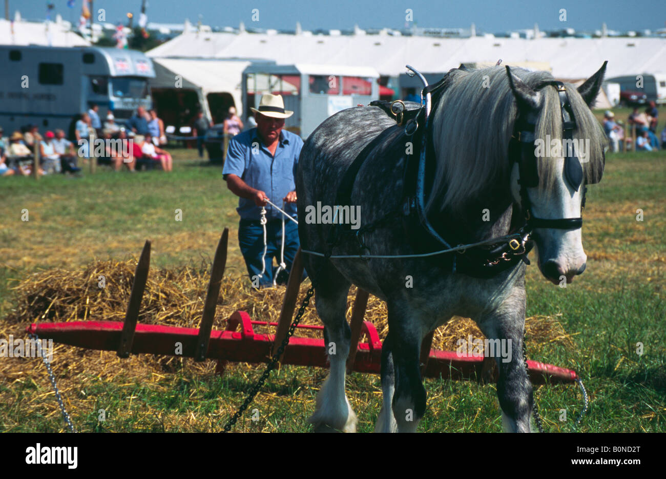 Shire Horse dimostrazione presso il grande Dorset vapore Fair 2004 Foto Stock