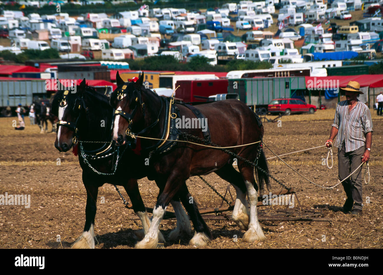Shire cavalli tirando il rastrello presso la grande Dorset vapore Fair 2004 Foto Stock