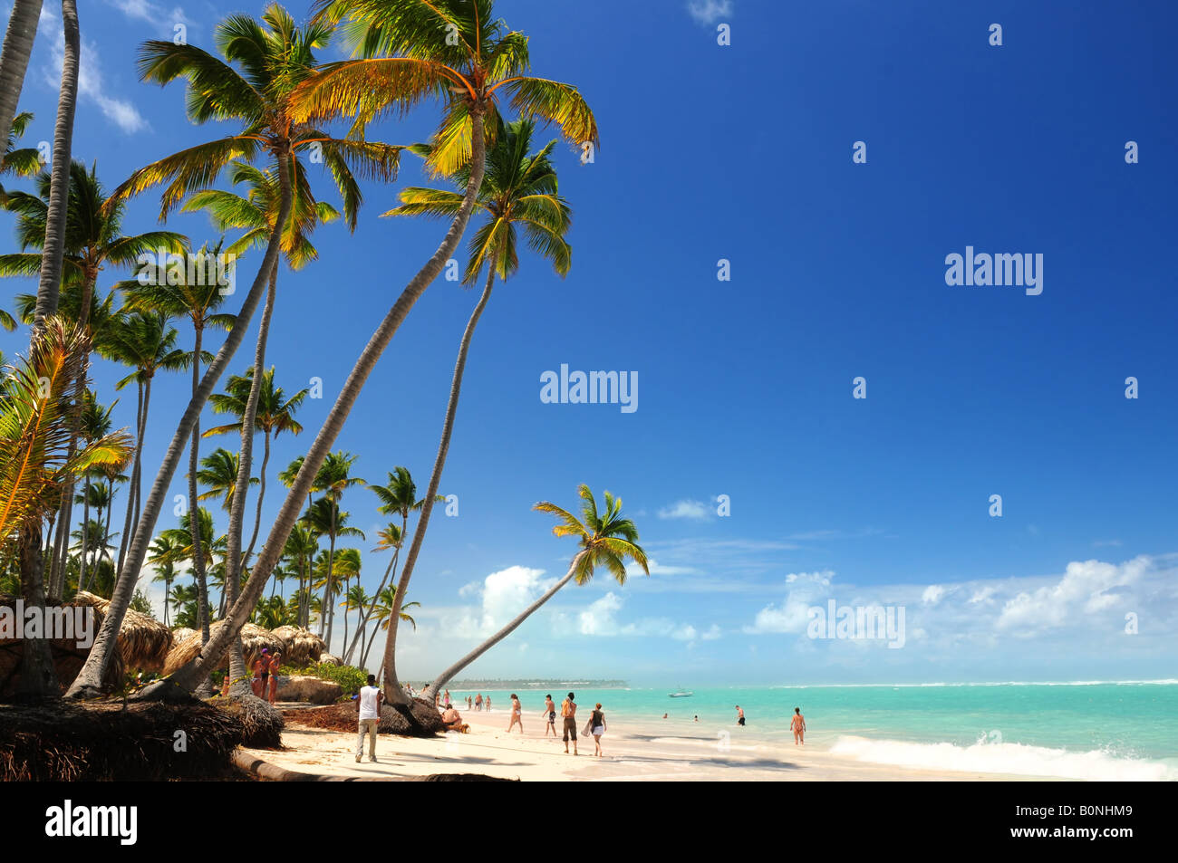 Spiaggia tropicale con palme sull isola dei Caraibi Foto Stock