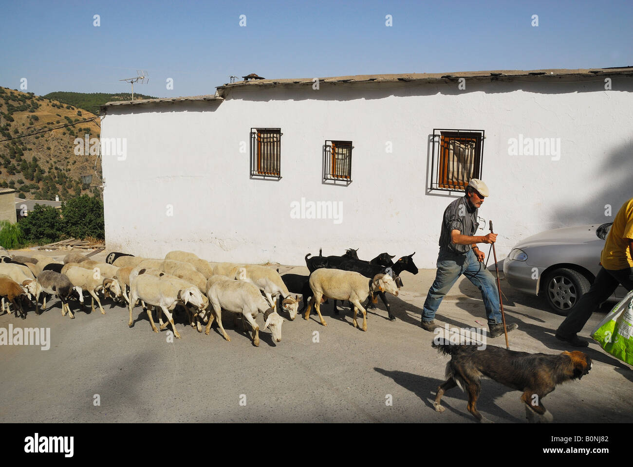 Un pastore nel villaggio Foto Stock