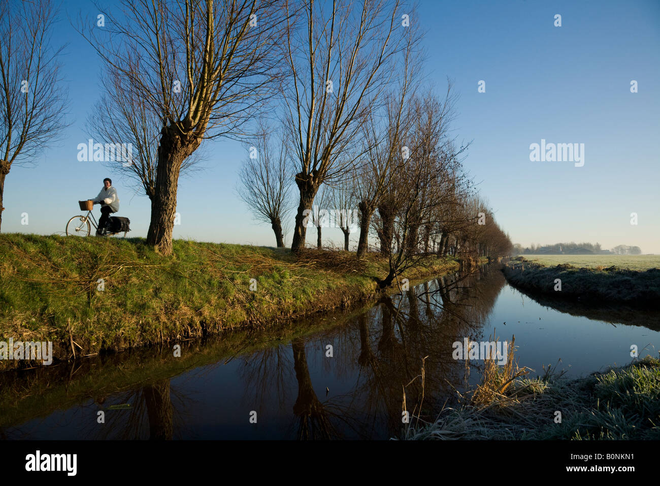 Un ciclista in questo bellissimo paesaggio tipico dell'Olanda Foto Stock
