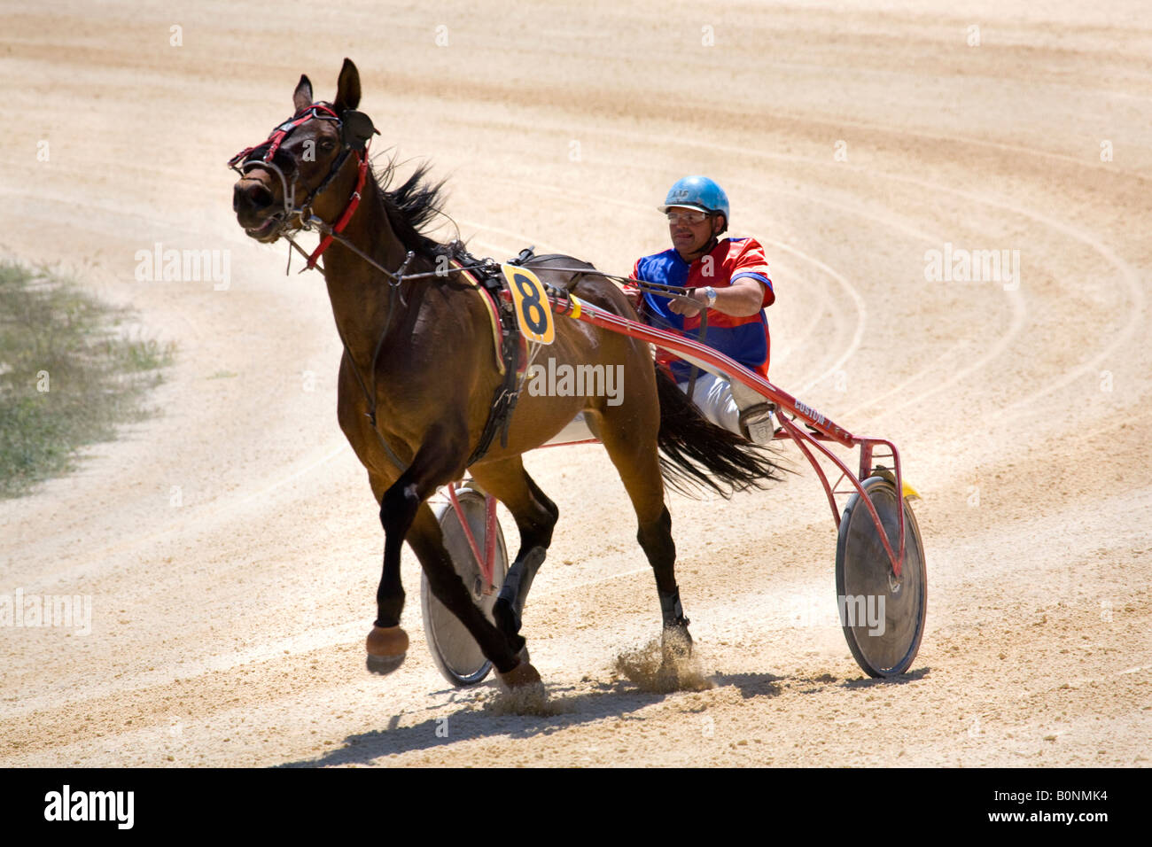 Cinder e sabbia racing a Marsa racetrack, zampetto, corse di cavalli, trotto gare al Racing Club, Racecourse Street, Marsa, Malta. Foto Stock