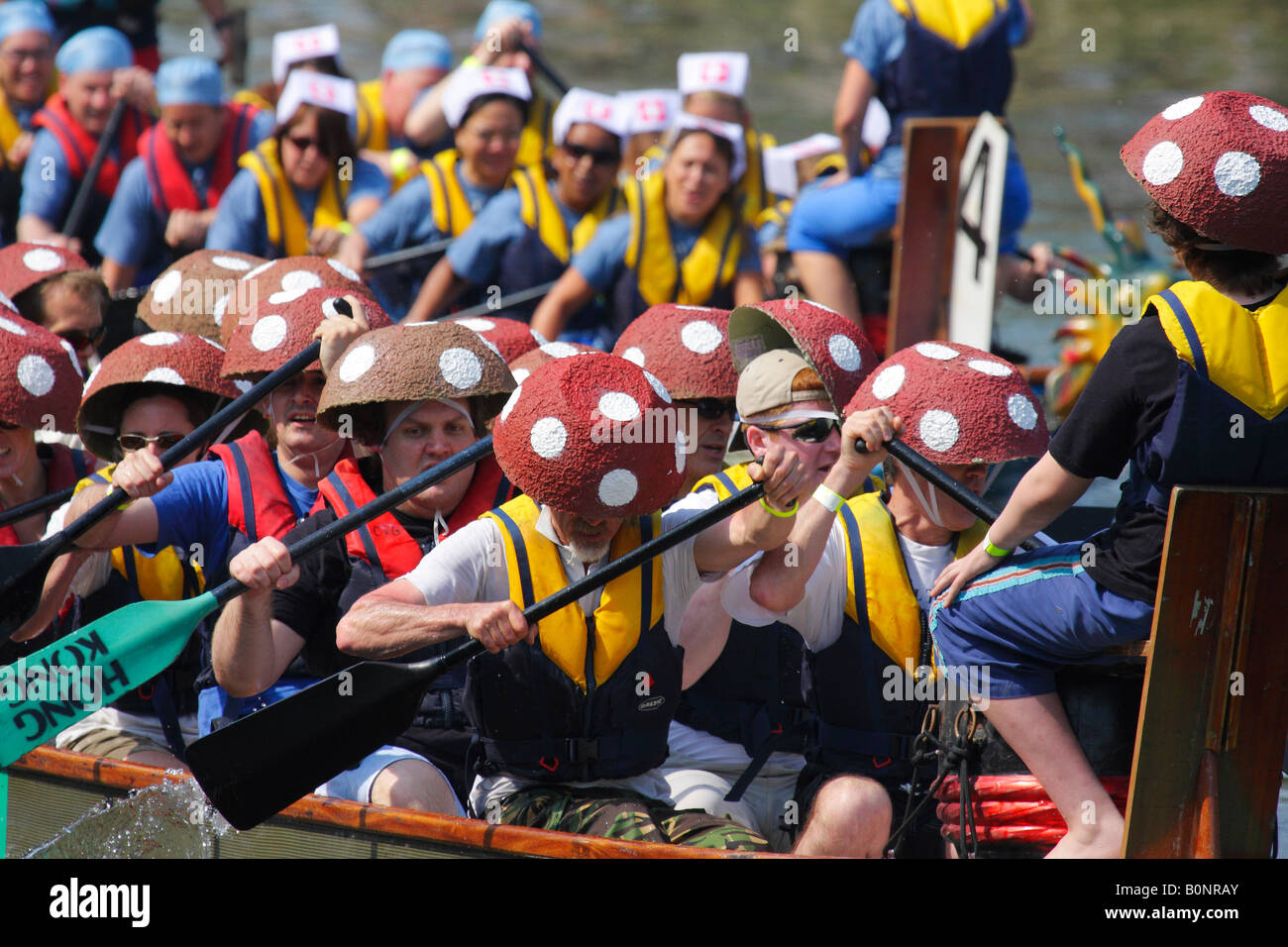 Dragon Boat racing sul Tamigi a Abingdon 8 Foto Stock