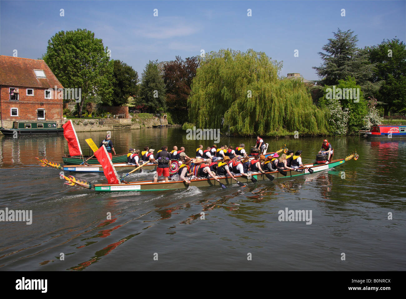 Dragon Boat racing sul Tamigi a Abingdon 5 Foto Stock