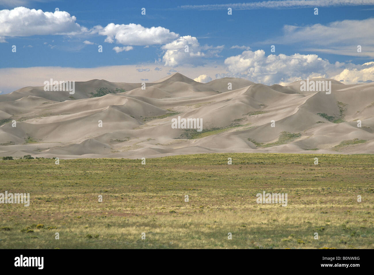 Dune di sabbia dopo la pioggia a molla Grande dune sabbiose del Parco Nazionale di Colorado USA Foto Stock