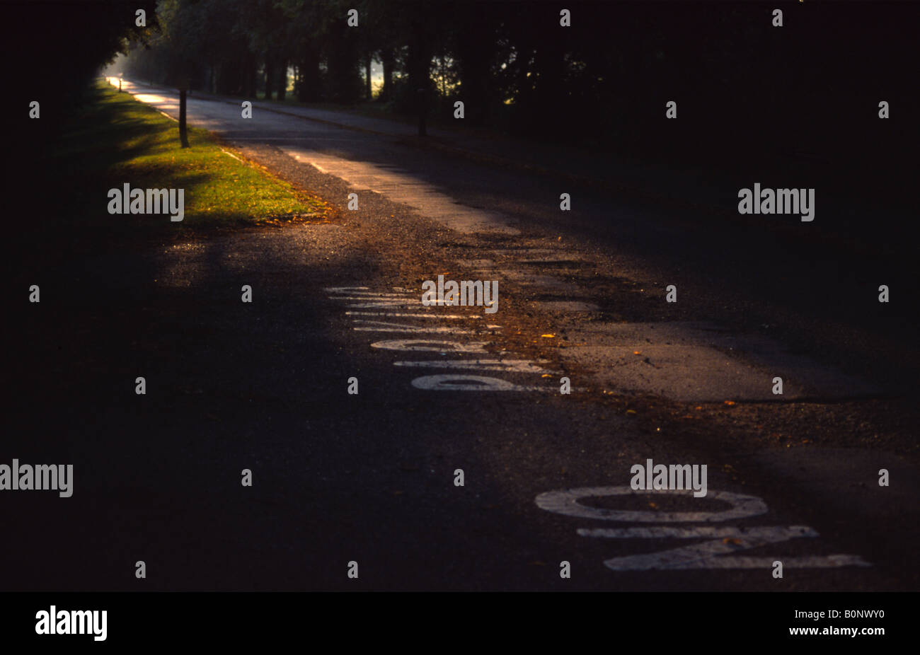 La mattina presto in Trent Park Foto Stock