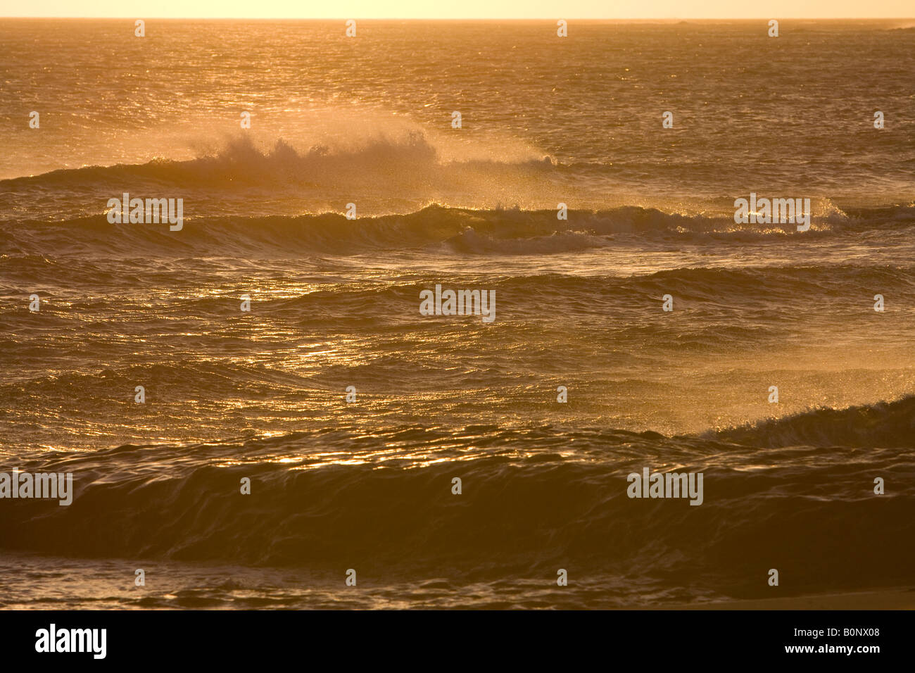 Onde al tramonto nel vento forte Foto Stock