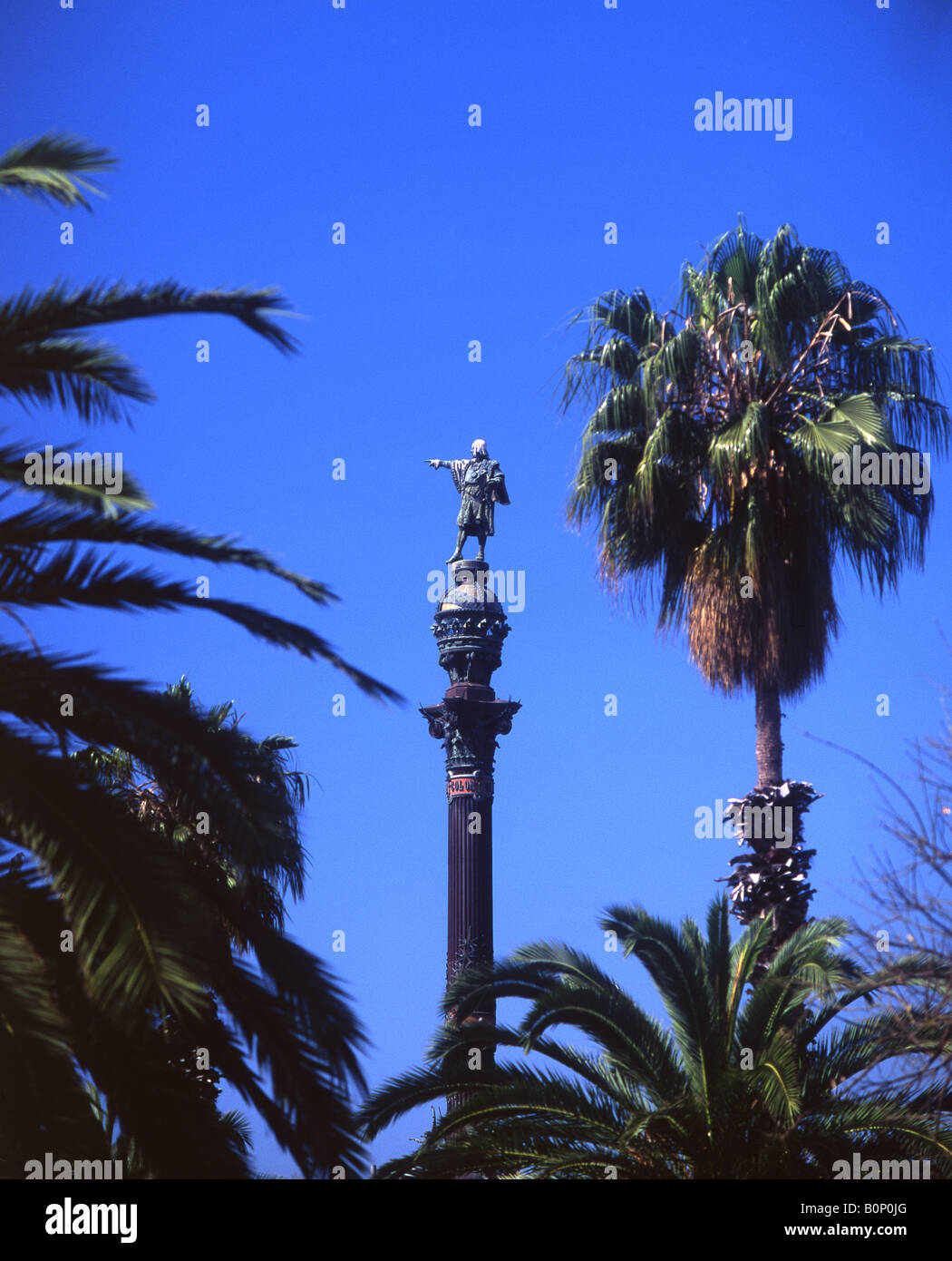Statua di Cristoforo Colombo circondato da palme Passeig de Colom area del litorale di Barcellona Spagna Catalunya Foto Stock
