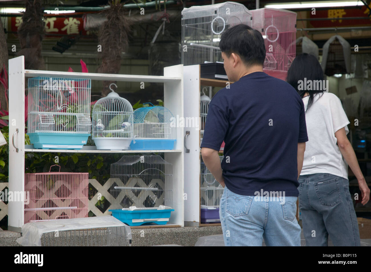 Hong Kong Bird Market, Hong Kong, Cina Foto Stock