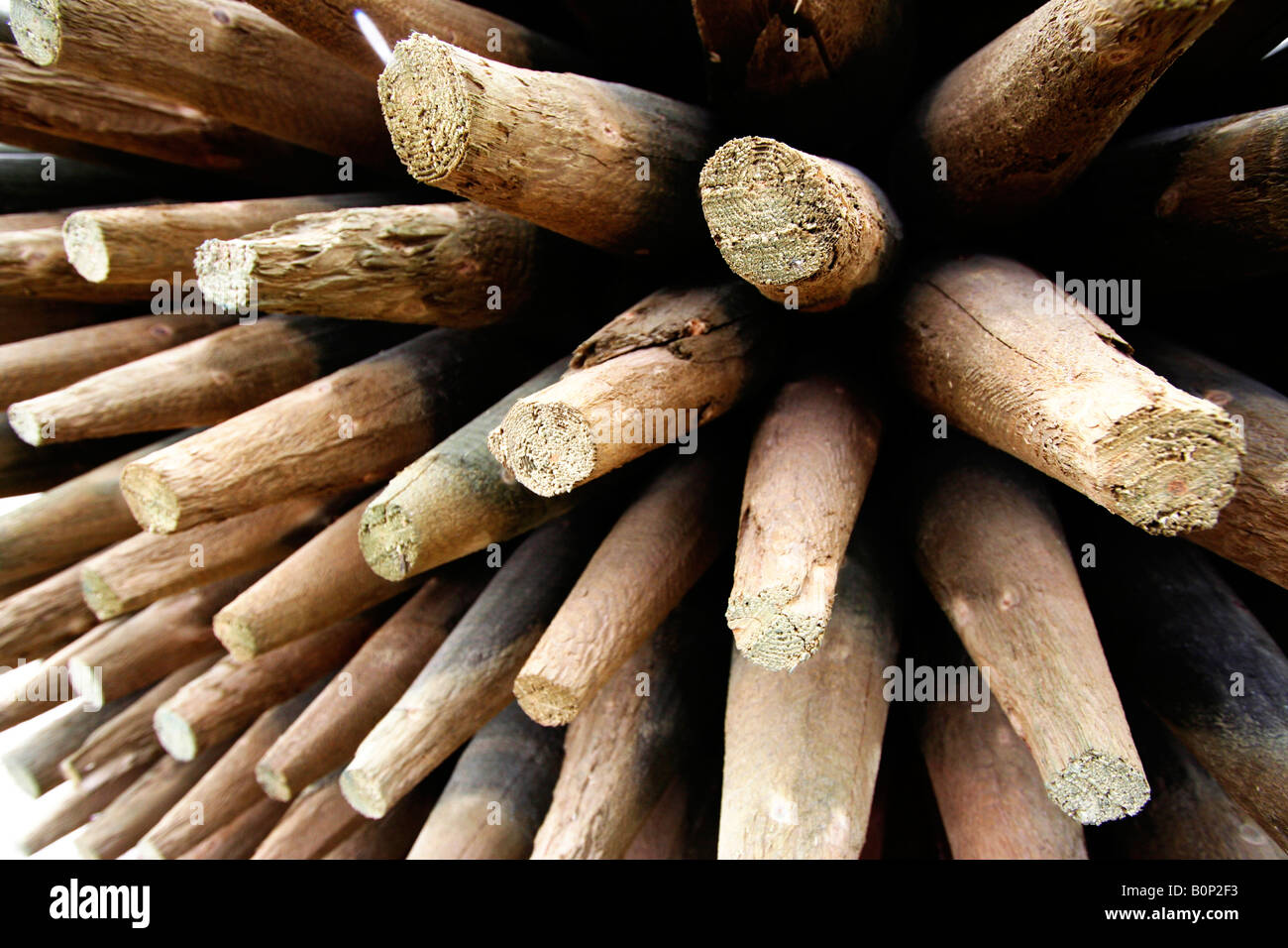 Un semi ampia angolazione di una pila di posti di legno. Foto Stock