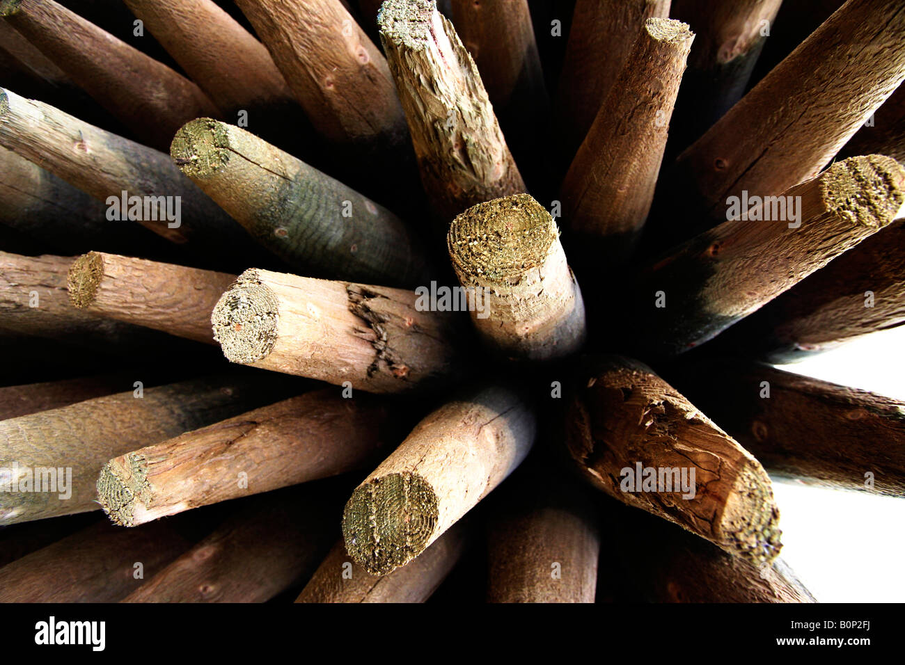 Un ampio angolo di ripresa di una pila di posti di legno. Foto Stock