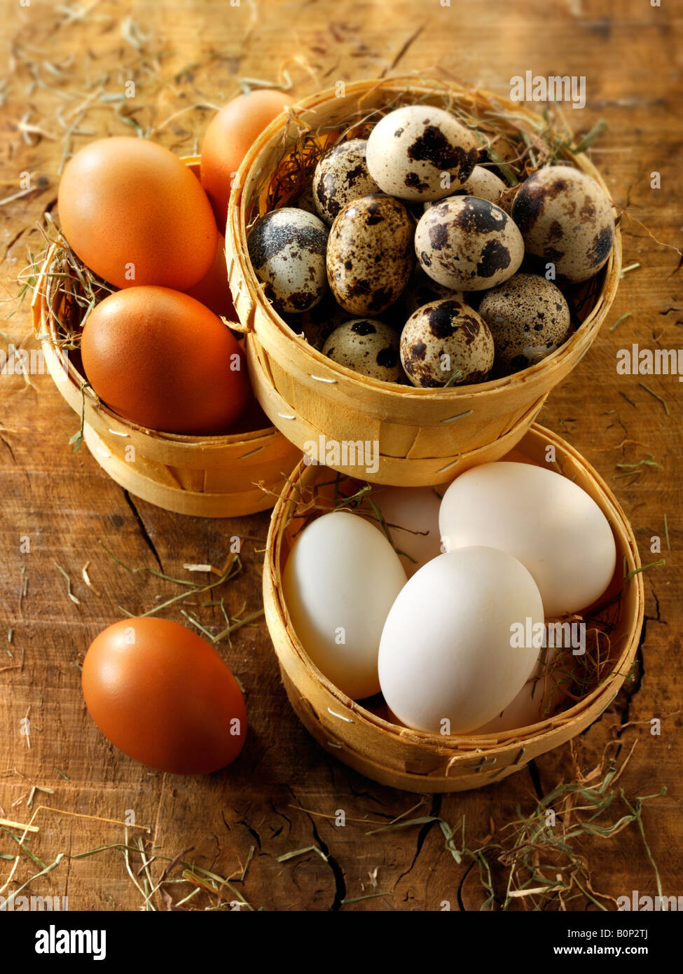 Free range Organic quaglia, anatra e uova di gallina Foto Stock