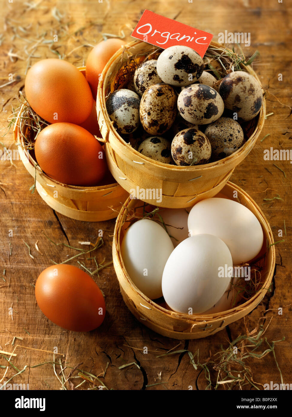 Organici di quaglia, anatra e uova di gallina Foto Stock